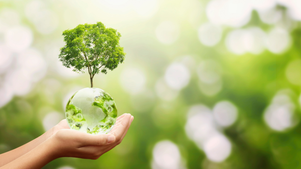 Hands cupping a transparent globe with a small tree growing on top, symbolizing environmental stewardship